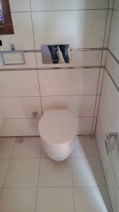 WP_20130124_001