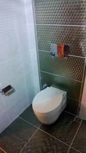 WP_20130124_012